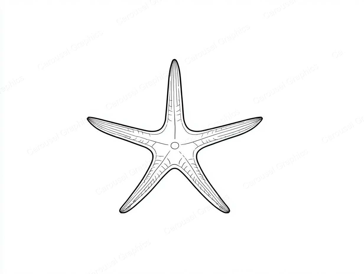 Starfish Vector Graphic preview