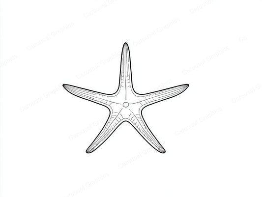 Starfish Vector Graphic preview