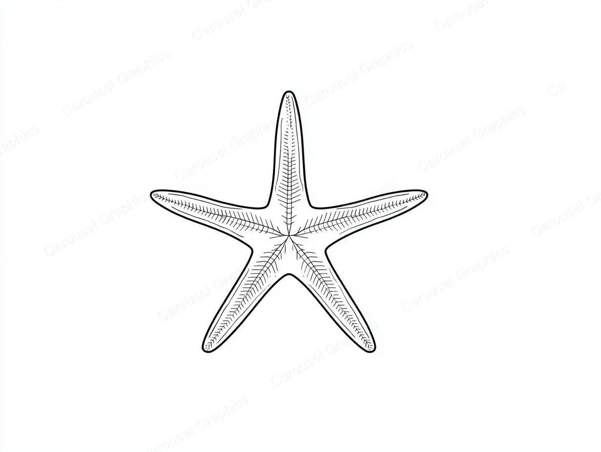 Starfish Vector Graphic preview