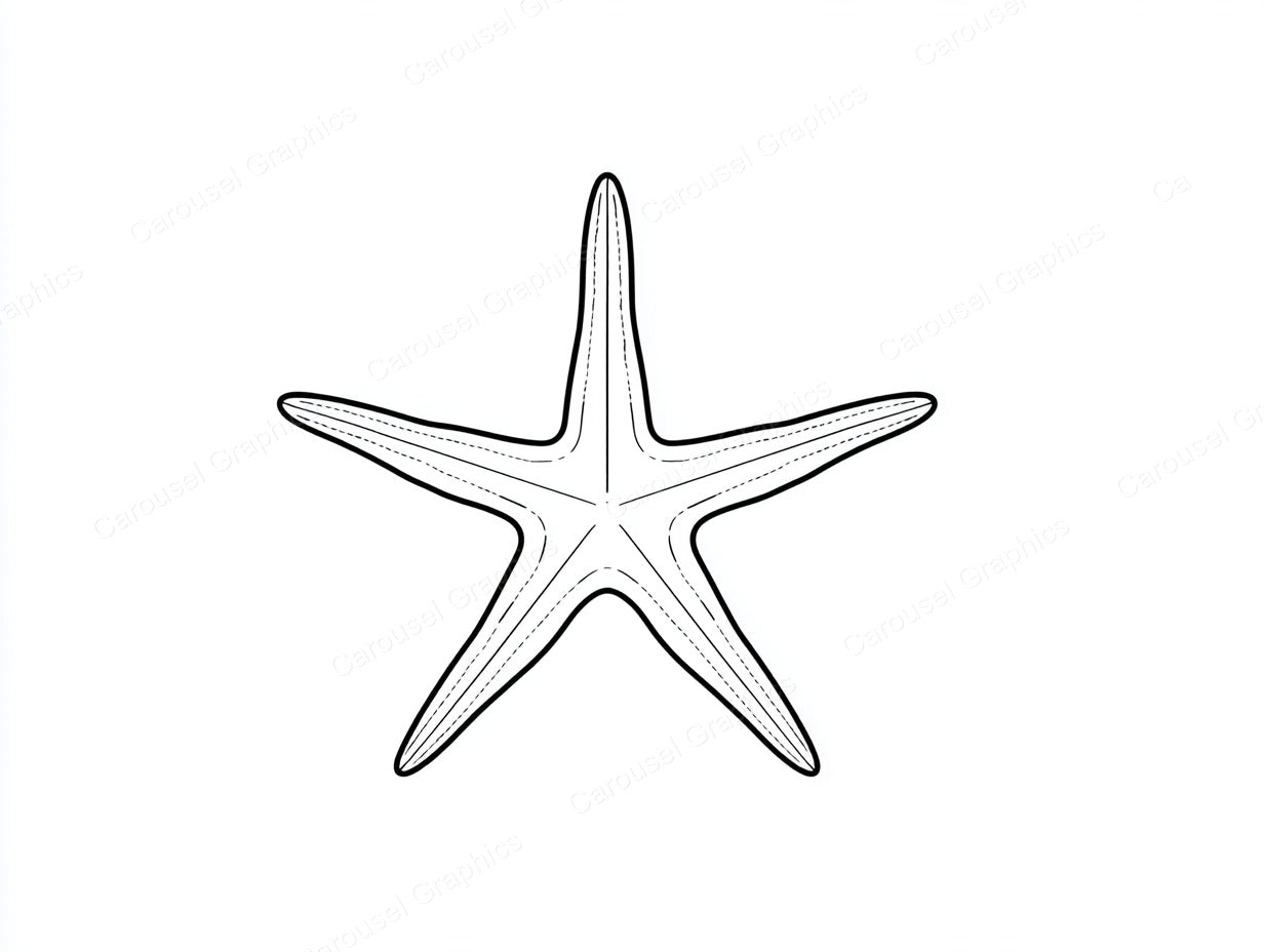 Starfish Vector Graphic preview