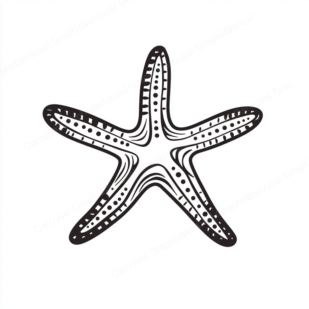Starfish Vector Graphic preview