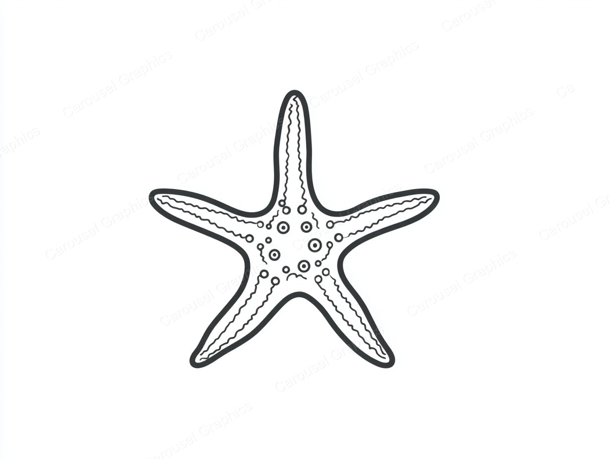 Starfish Vector Graphic preview