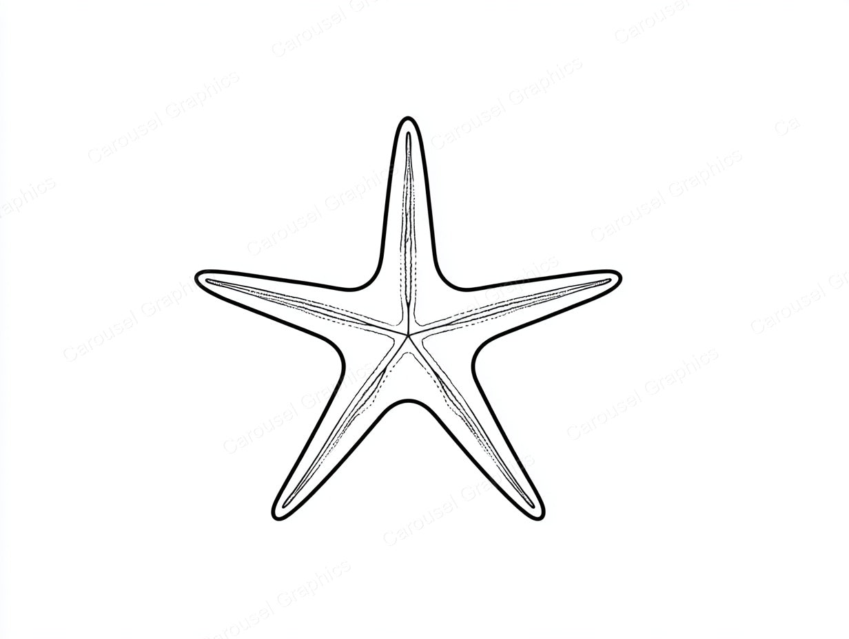 Starfish Vector Graphic preview
