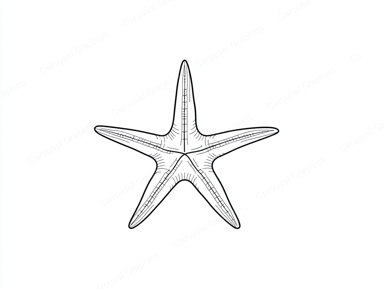 Starfish Vector Graphic preview