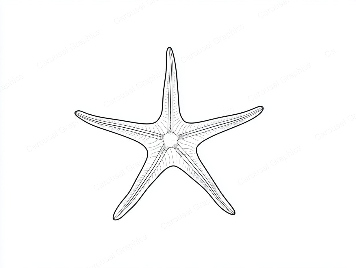 Starfish Vector Graphic preview