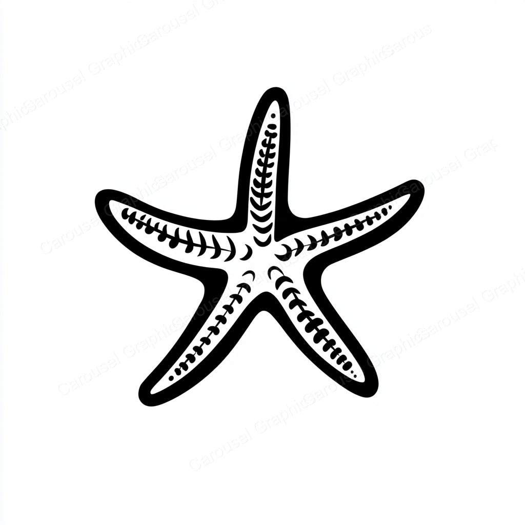 Starfish Vector Graphic preview