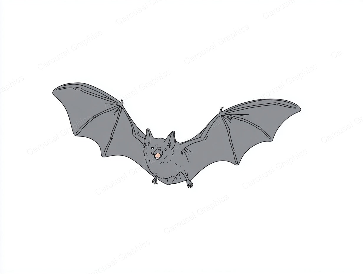 Bat Vector Graphic preview