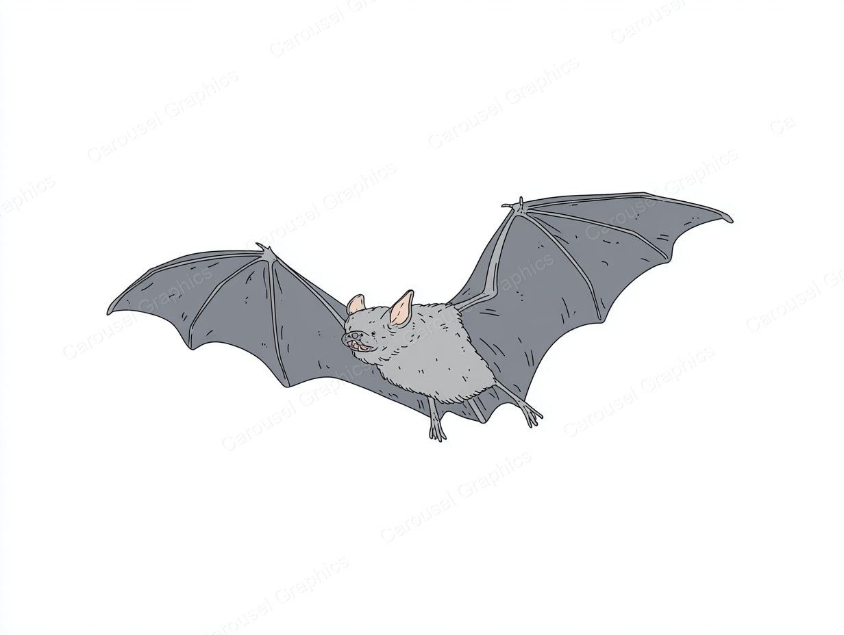 Bat Vector Graphic preview