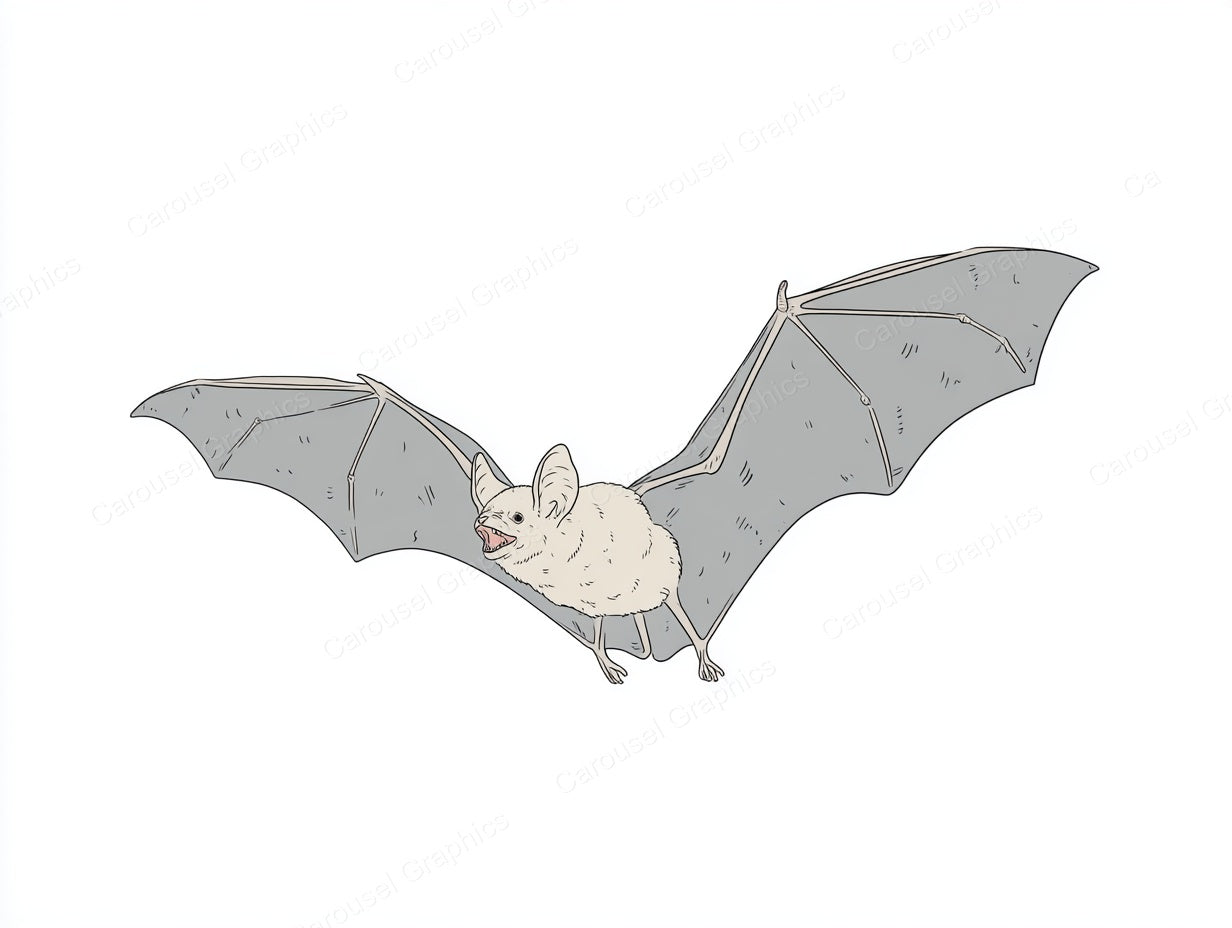 Bat Vector Graphic preview