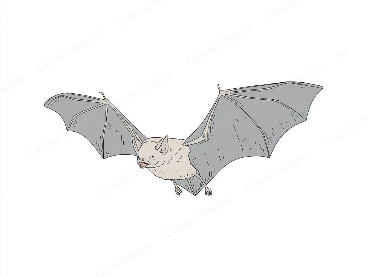 Bat Vector Graphic preview