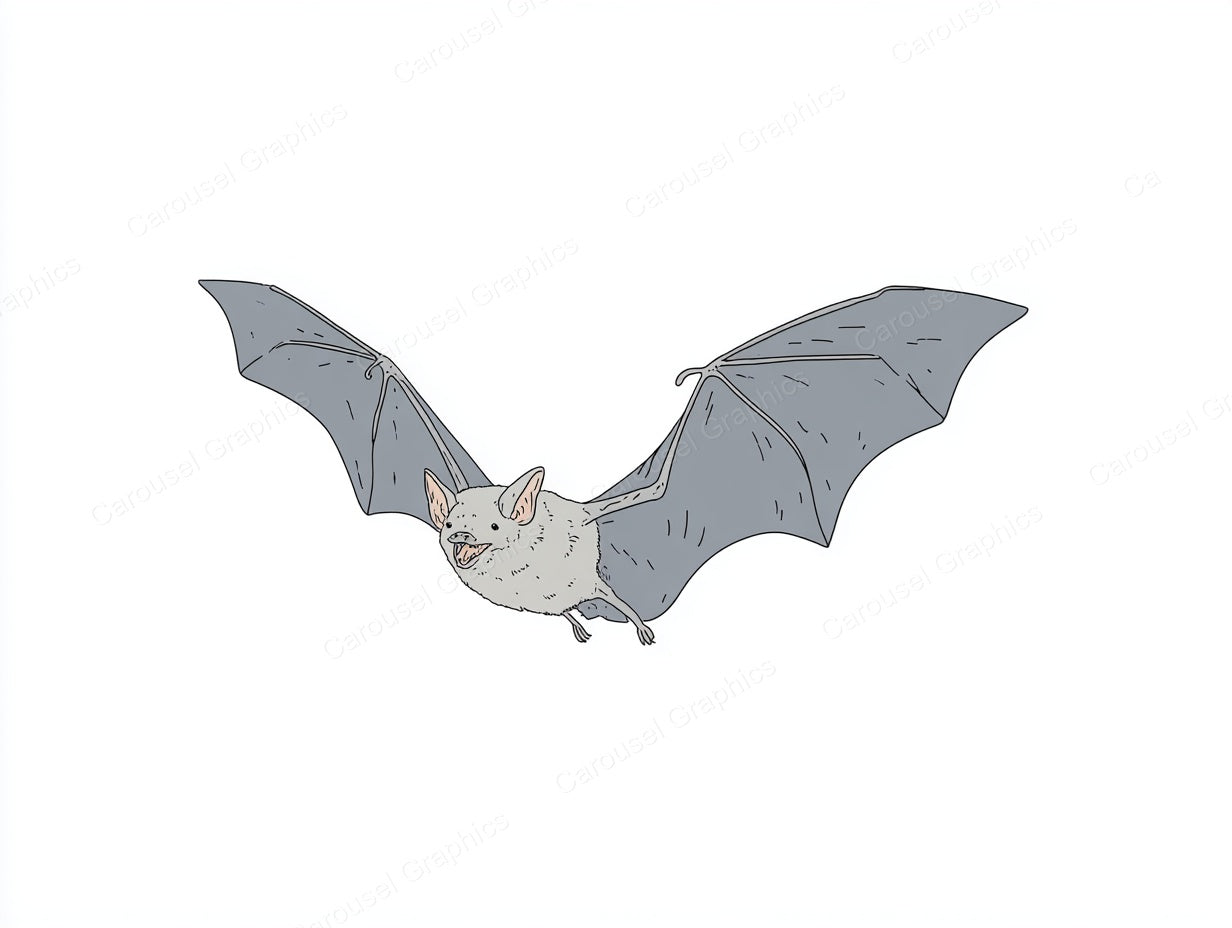 Bat Vector Graphic preview
