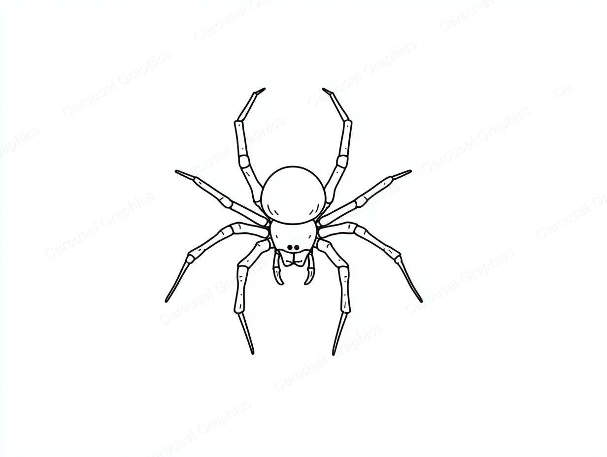 Spider Vector Graphic preview