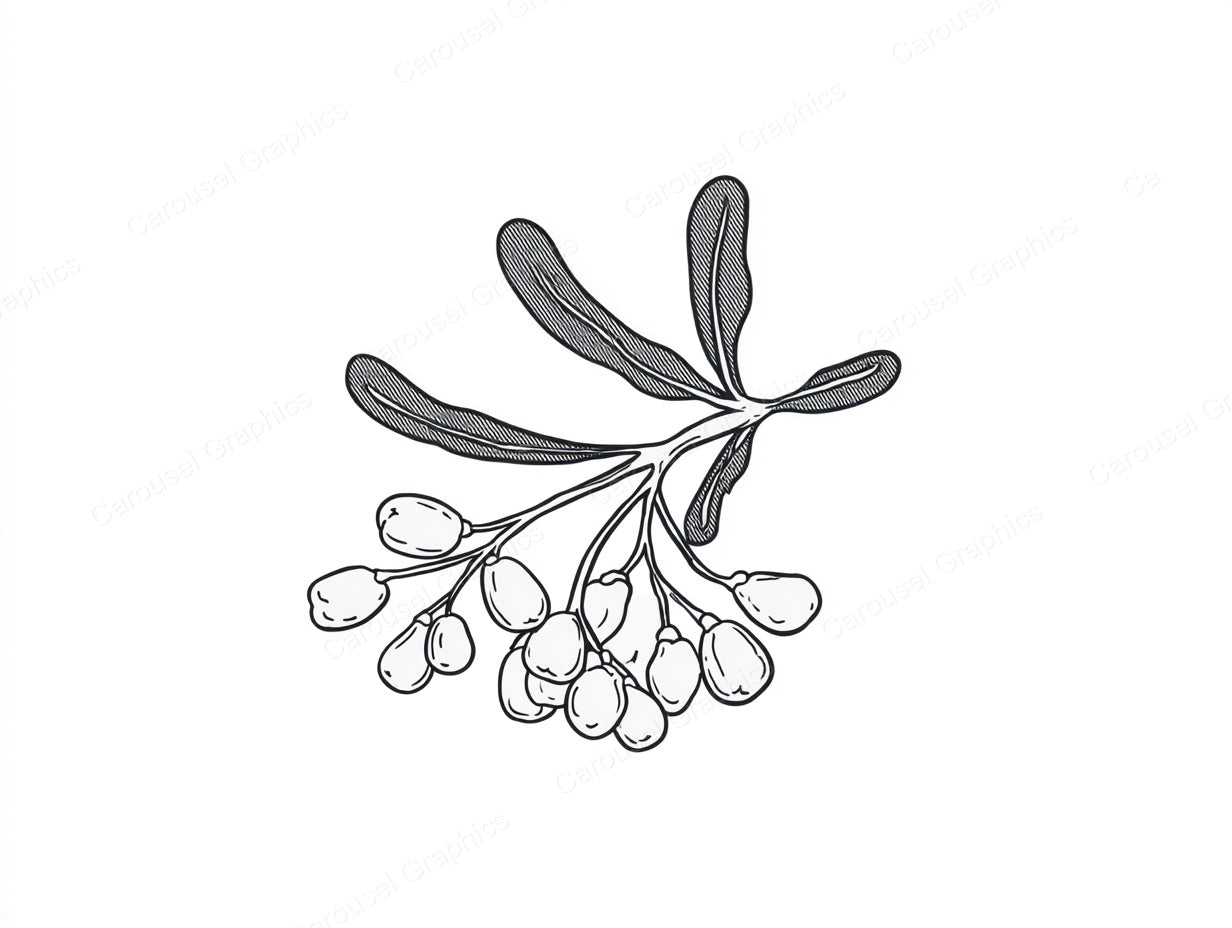 Mistletoe Vector Graphic preview