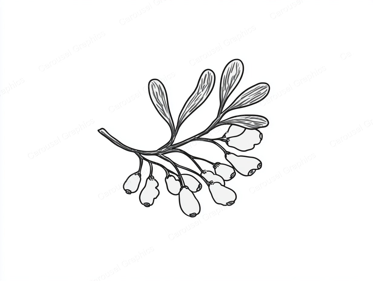 Mistletoe Vector Graphic preview