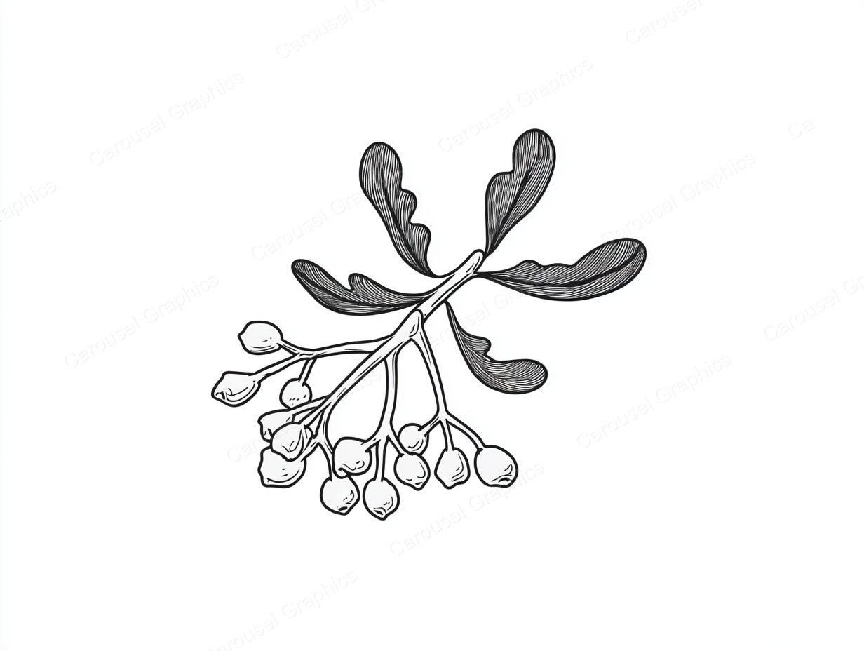 Mistletoe Vector Graphic preview