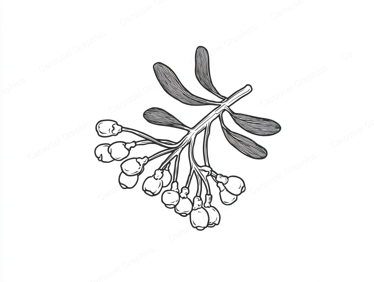 Mistletoe Vector Graphic preview