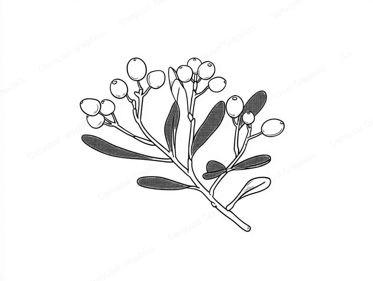 Mistletoe Vector Graphic preview