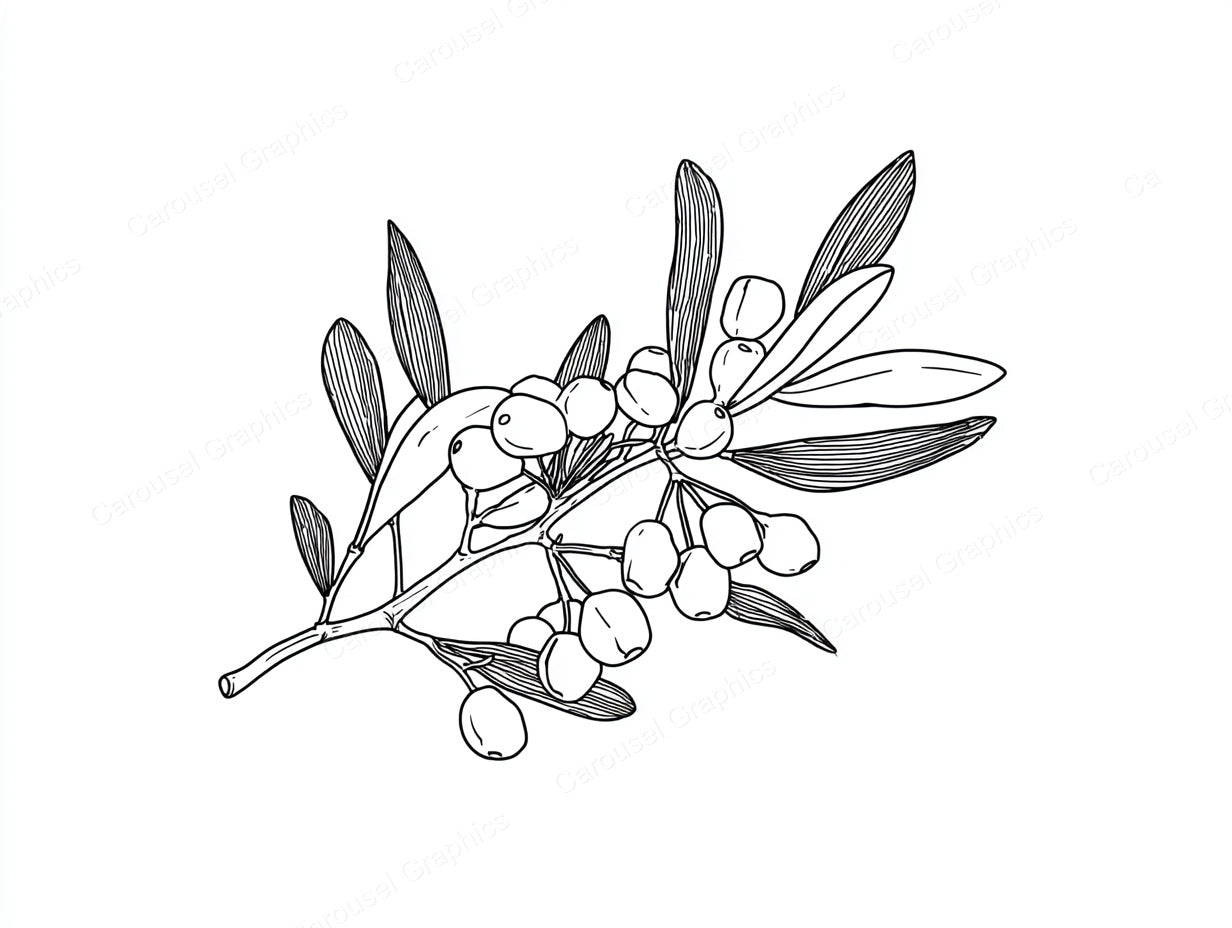 Mistletoe Vector Graphic preview