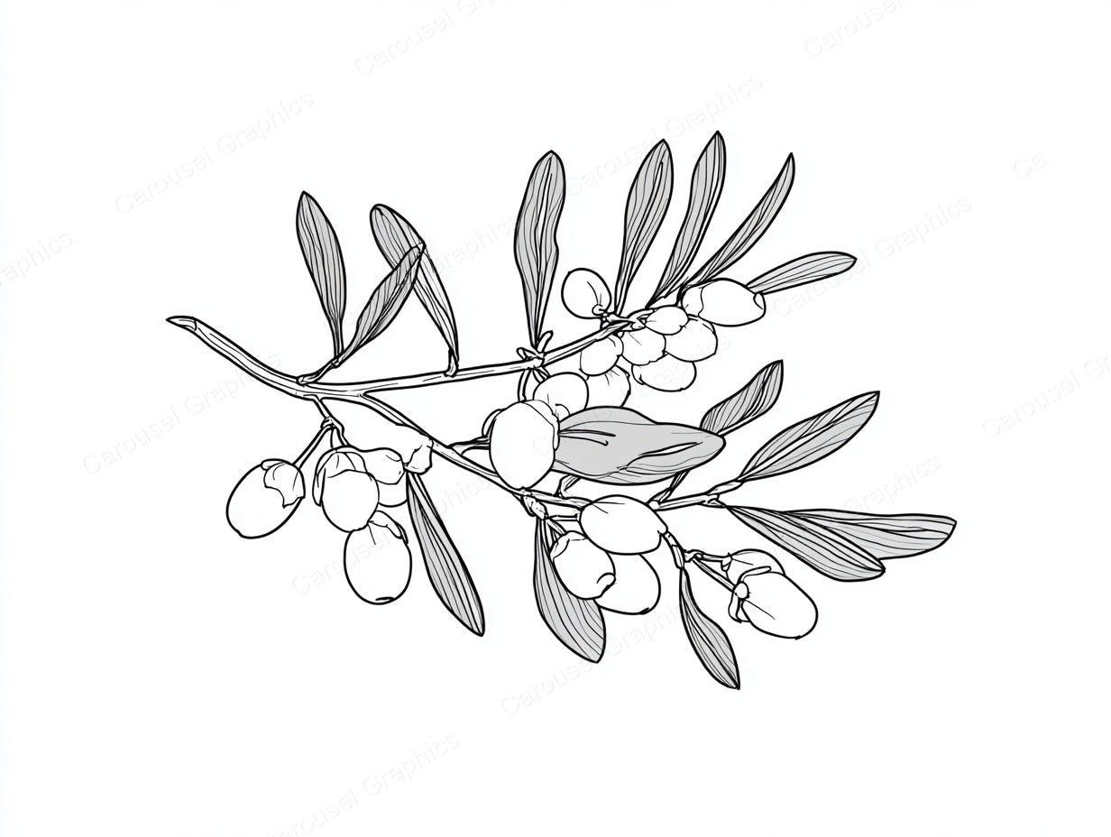 Mistletoe Vector Graphic preview