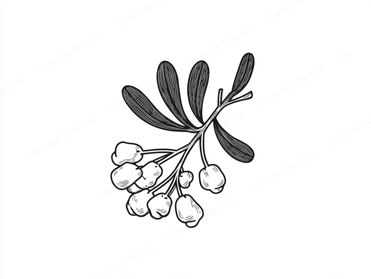 Mistletoe Vector Graphic preview