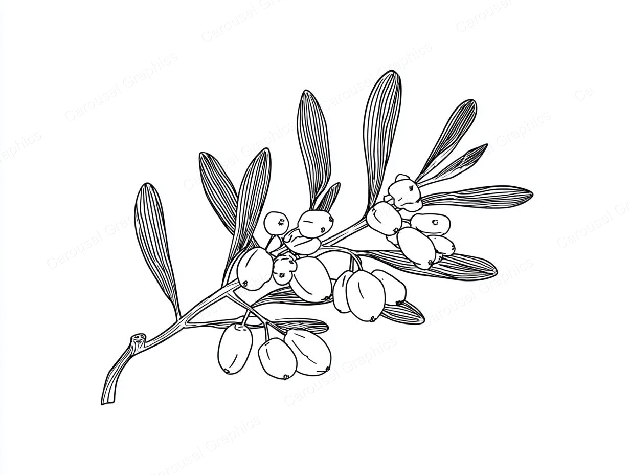 Mistletoe Vector Graphic preview