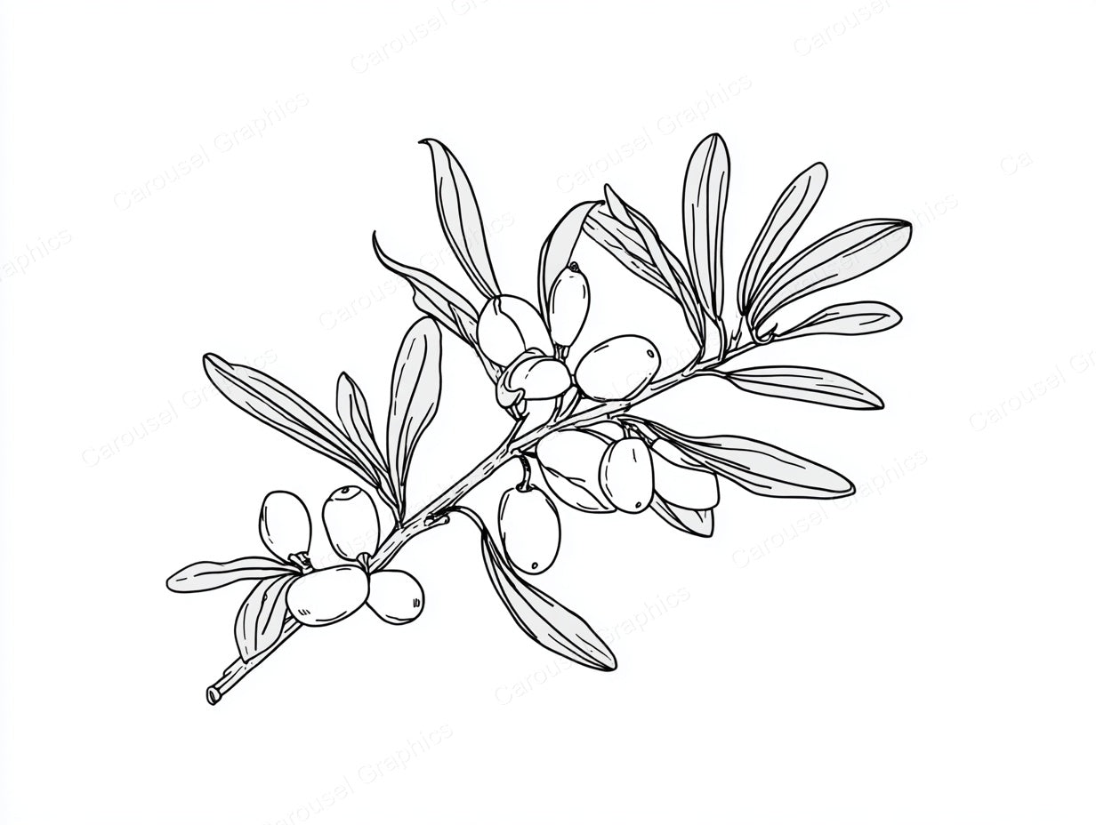 Mistletoe Vector Graphic preview