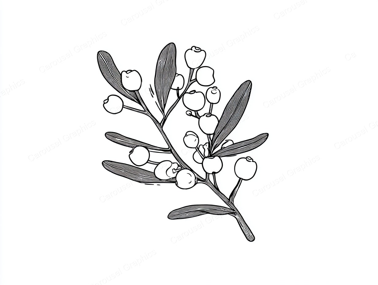 Mistletoe Vector Graphic preview