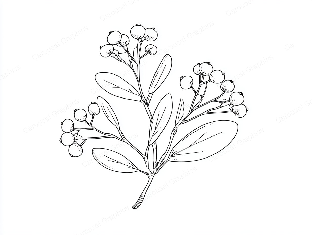 Mistletoe Vector Graphic preview