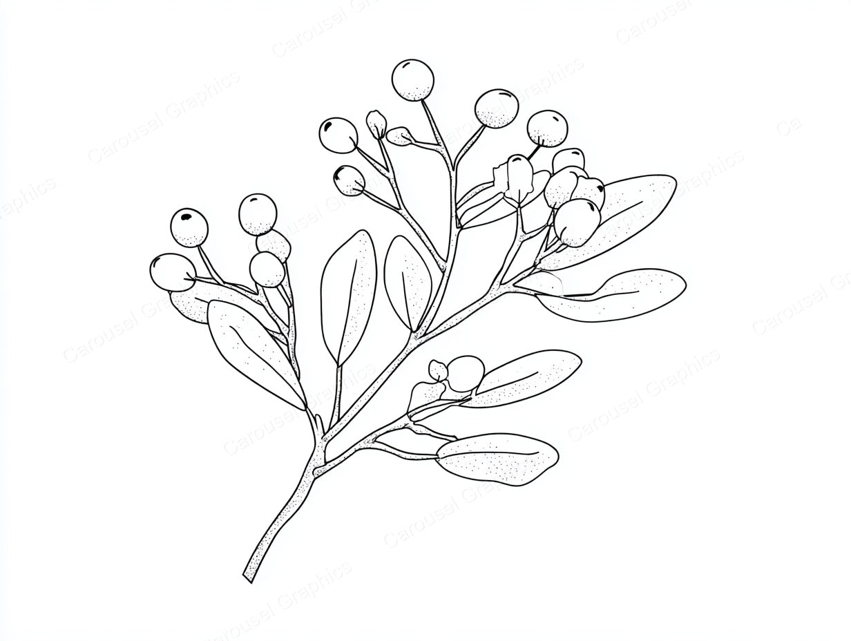 Mistletoe Vector Graphic preview