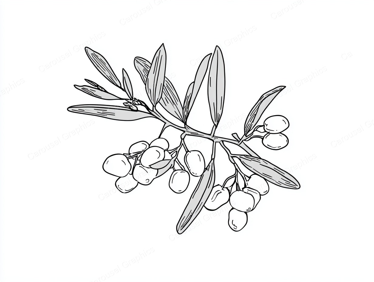 Mistletoe Vector Graphic preview