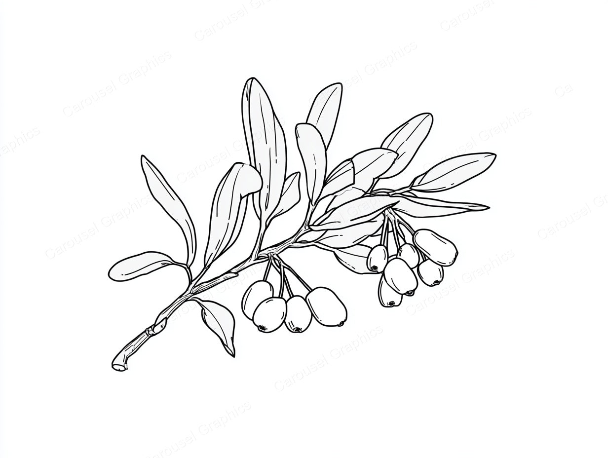 Mistletoe Vector Graphic preview