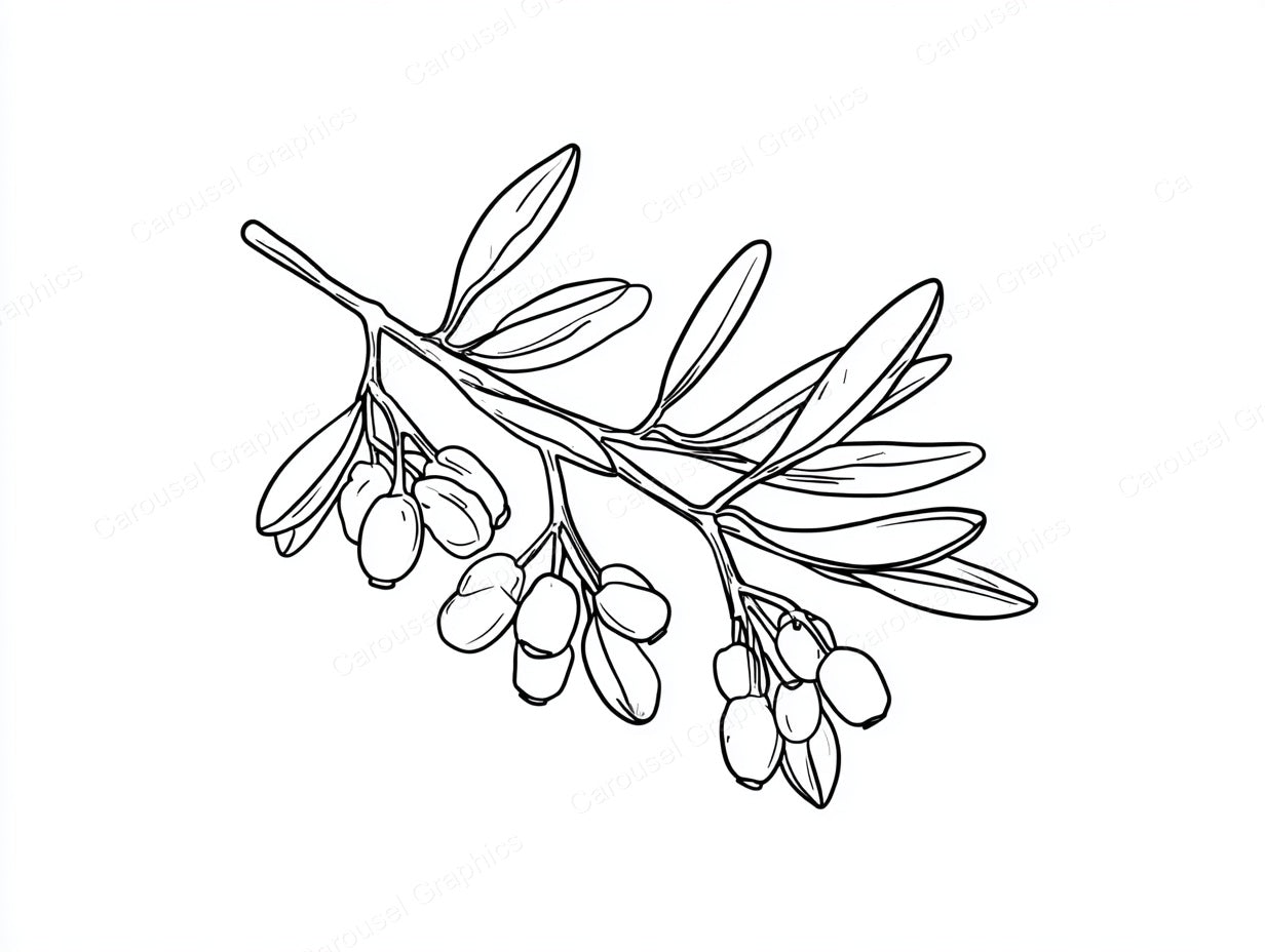 Mistletoe Vector Graphic preview