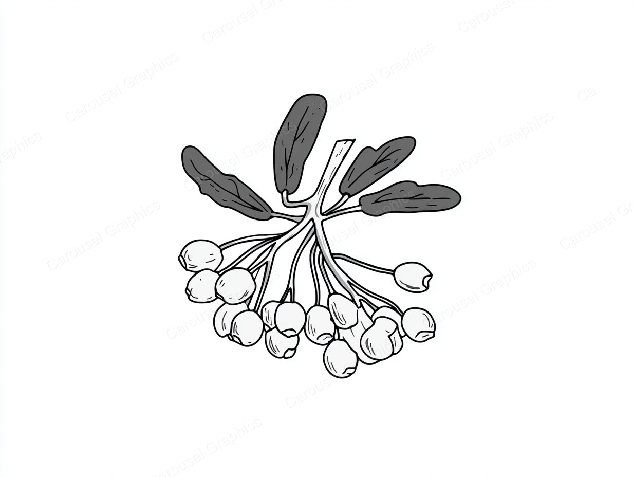 Mistletoe Vector Graphic preview