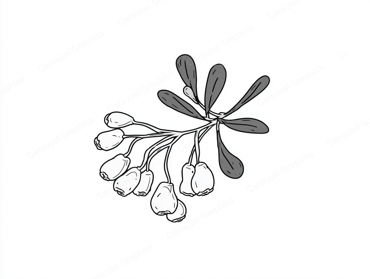 Mistletoe Vector Graphic preview