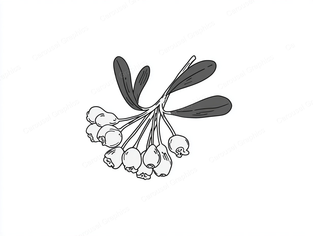 Mistletoe Vector Graphic preview
