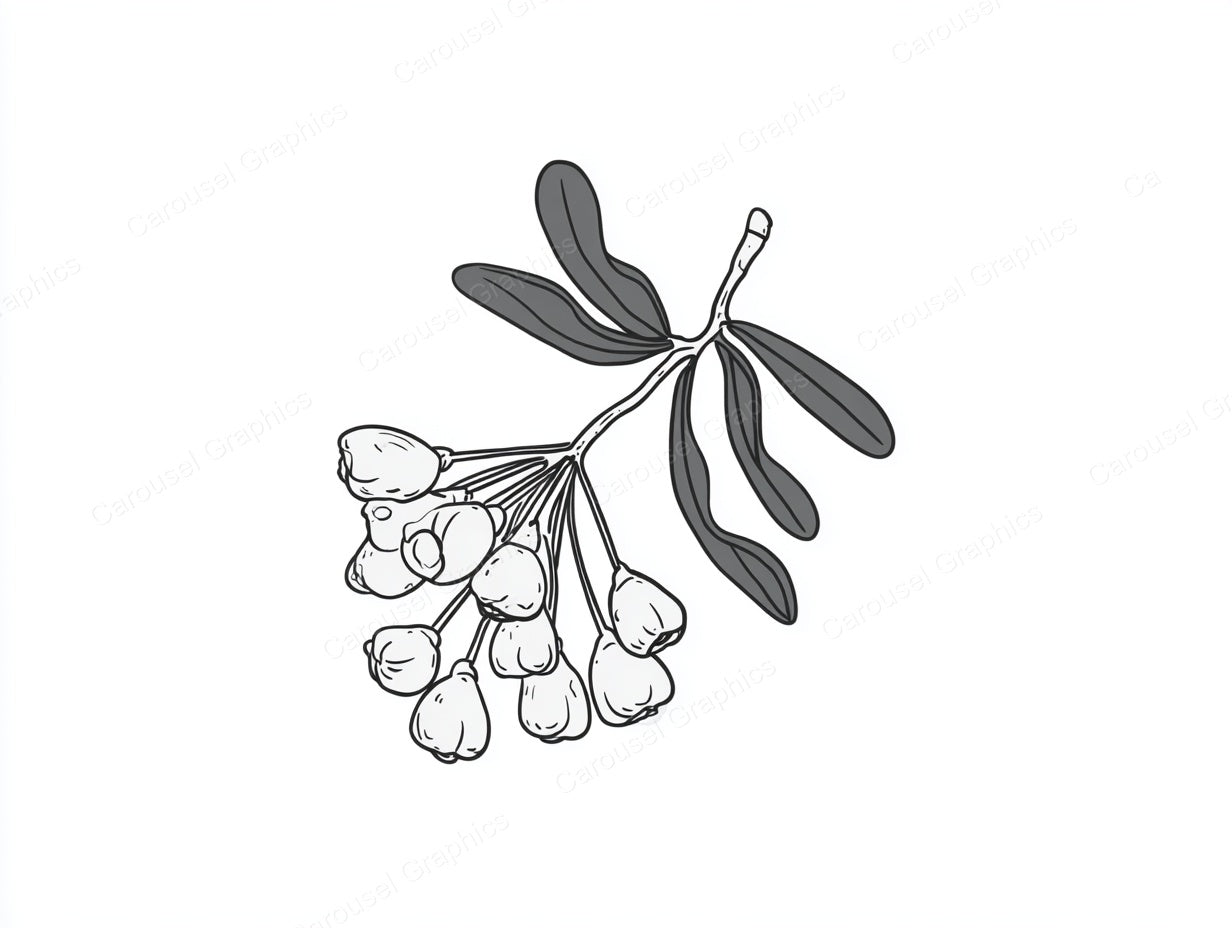 Mistletoe Vector Graphic preview