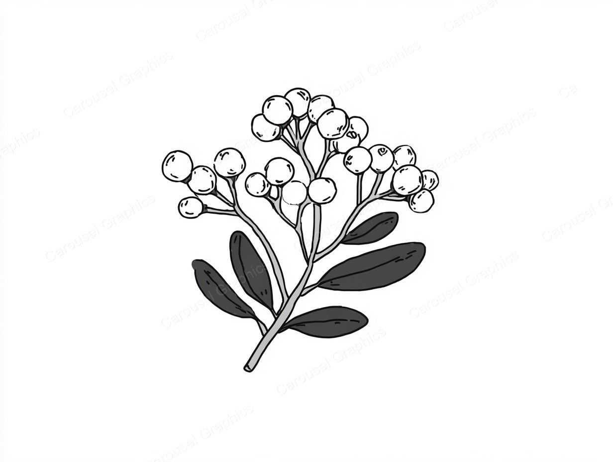 Mistletoe Vector Graphic preview