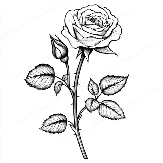 Rose Vector Graphic preview