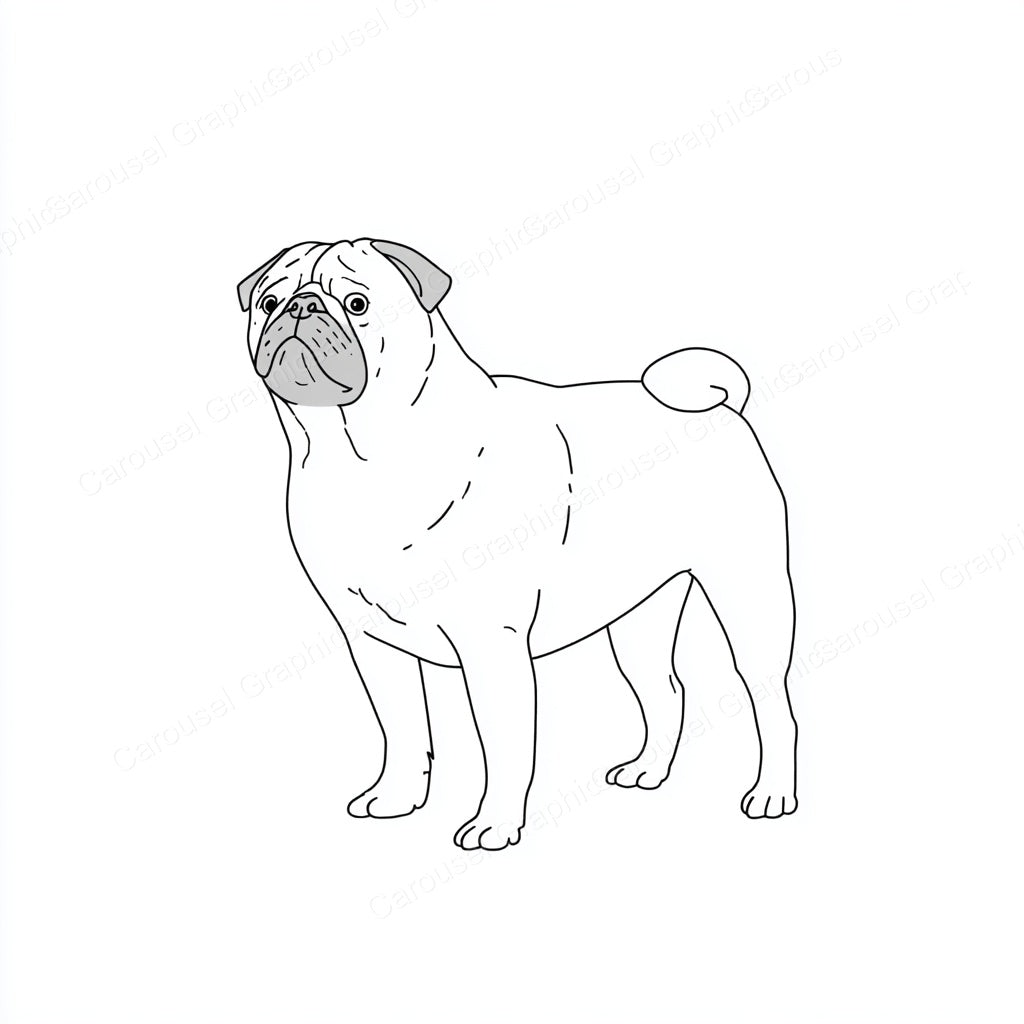 Pug Vector Graphic preview