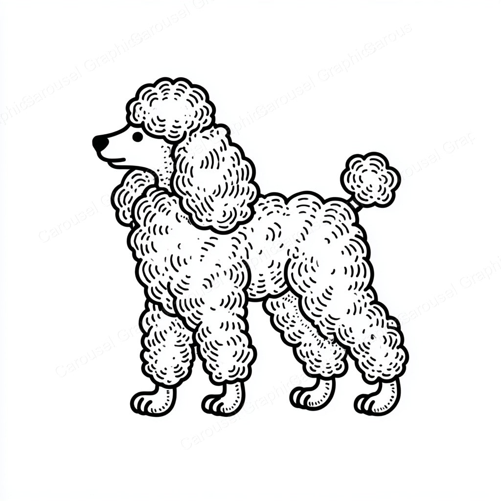 Poodle Vector Graphic preview
