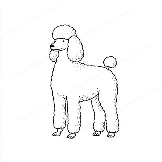 Poodle Vector Graphic preview