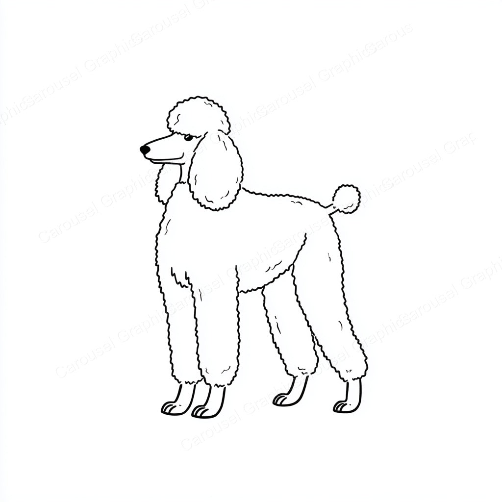 Poodle Vector Graphic preview