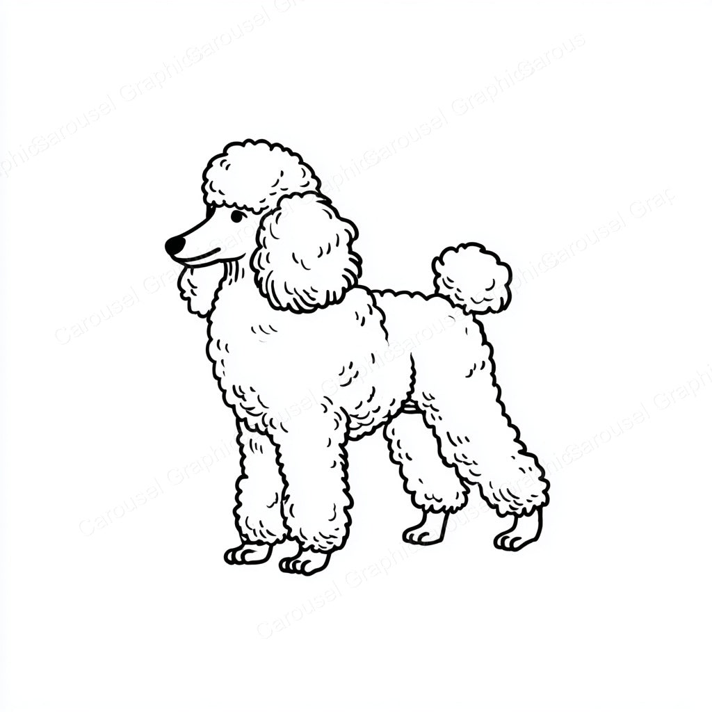 Poodle Vector Graphic preview