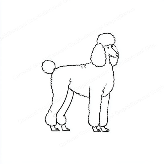 Poodle Vector Graphic preview