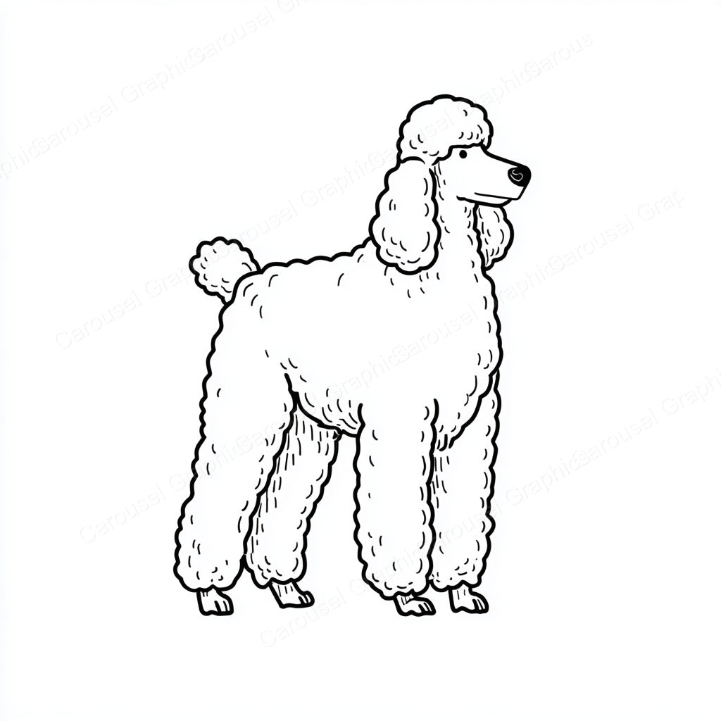 Poodle Vector Graphic preview
