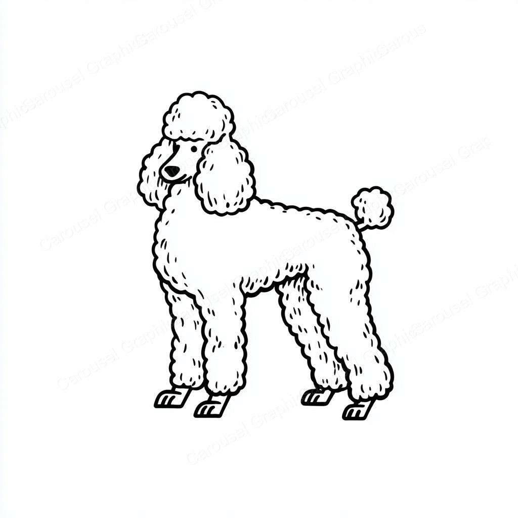 Poodle Vector Graphic preview