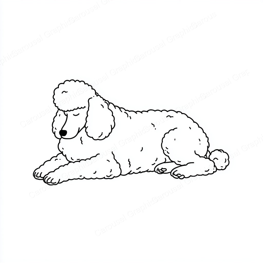 Poodle Vector Graphic preview
