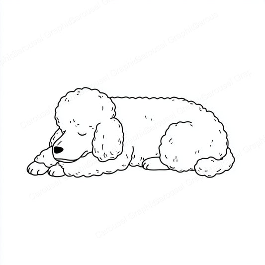 Poodle Vector Graphic preview