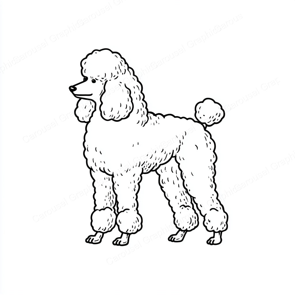 Poodle Vector Graphic preview