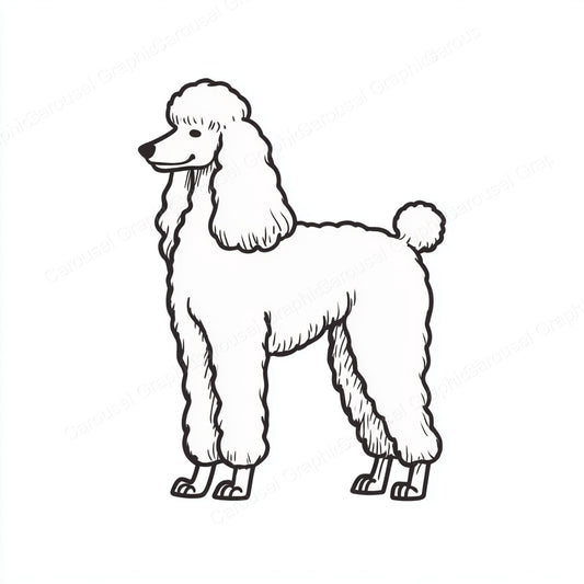 Poodle Vector Graphic preview